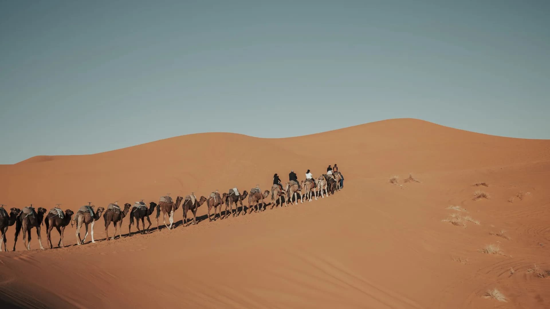 Tour Medinas Andaluzas 3 días