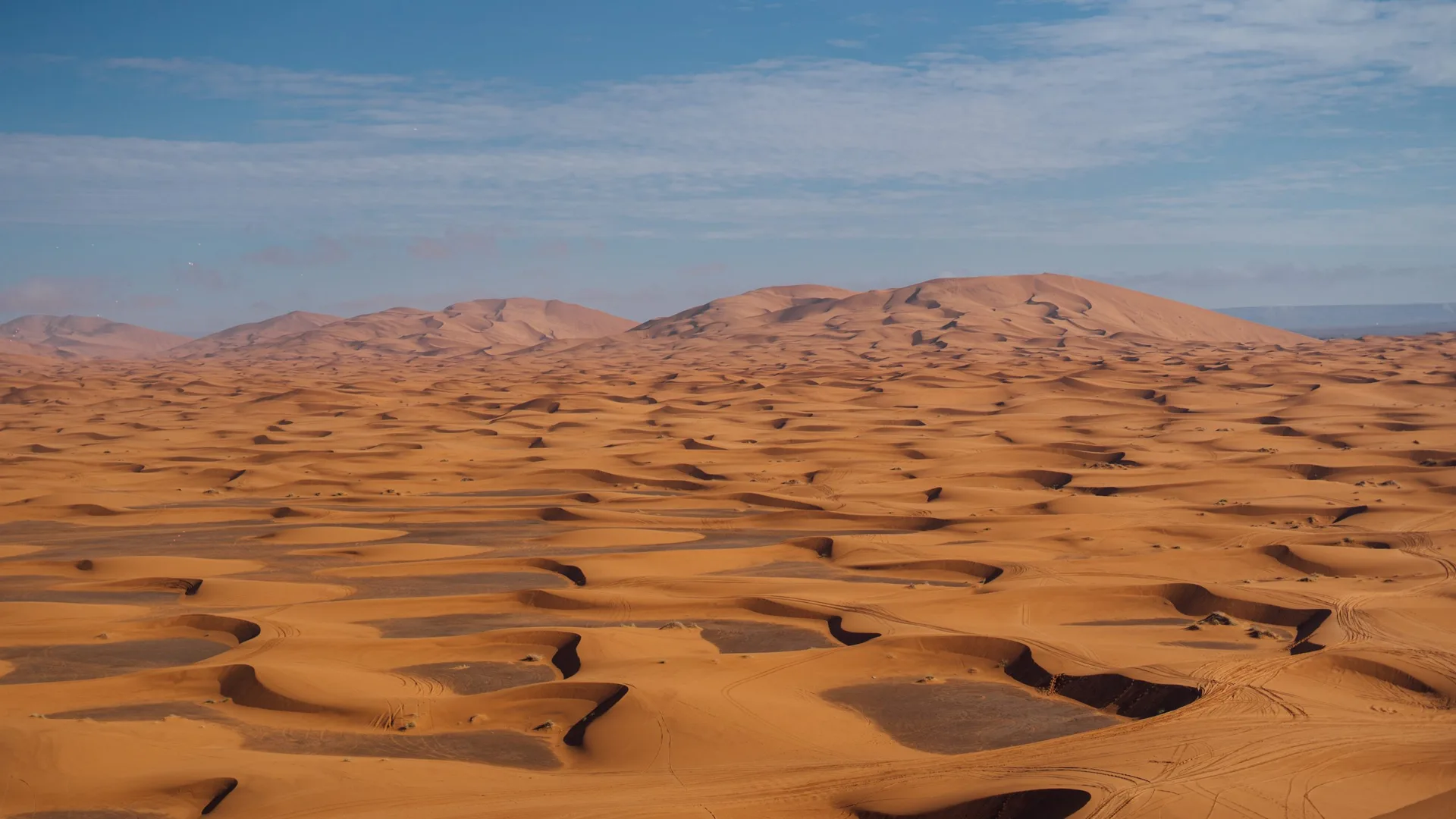 Tour El Gran Desierto